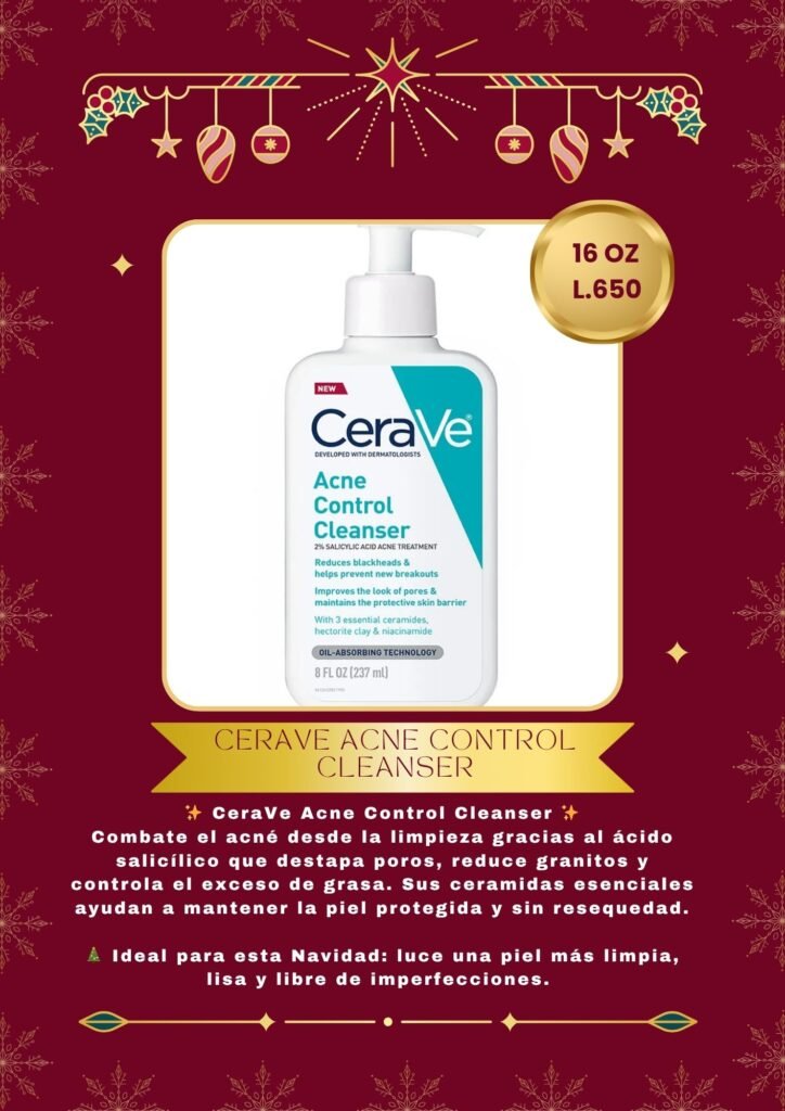 documento a4 catálogo de productos festivo navideño rojo y dorado.zip 8